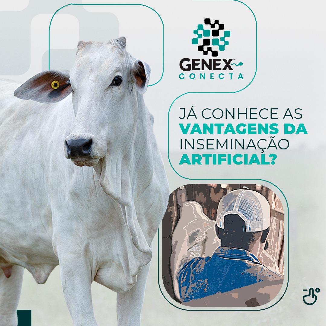 Você conhece as vantagens da IA?
