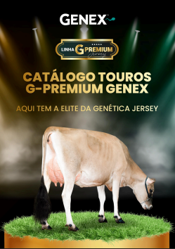 Catálogo G-Premium Jersey 2024